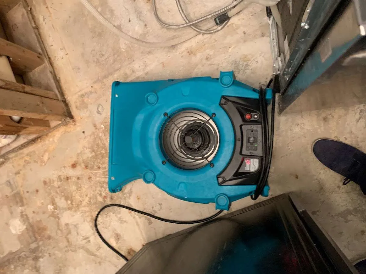 Air mover drying equipment for Mold Remediation & Removal in Deerfield
